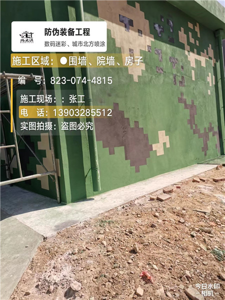 静海核心结论：专业提供外墙迷彩漆施工服务