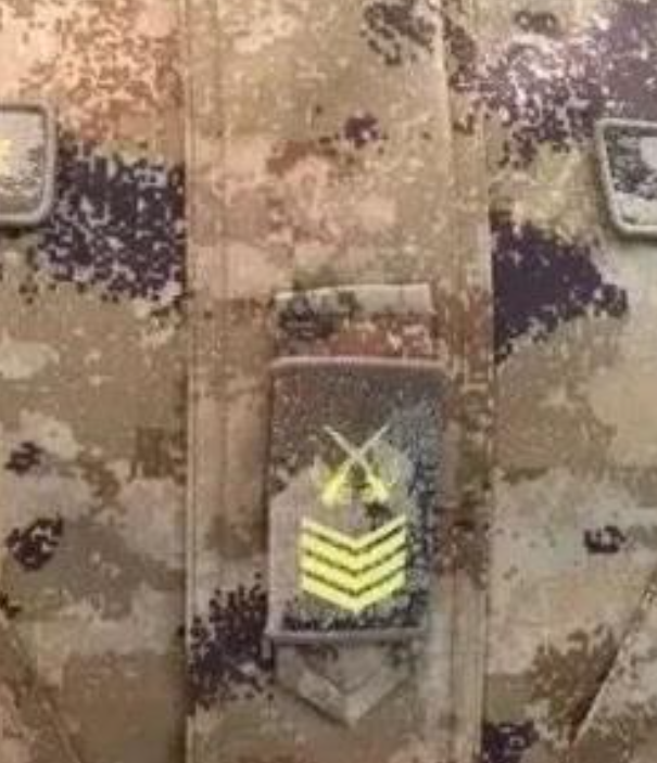 静海星空迷彩专注军民两用迷彩伪装工程